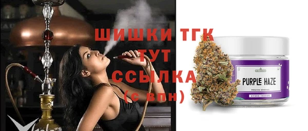 Альфа ПВП Лагань