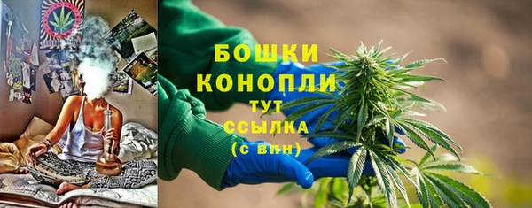 гидропоника Гусиноозёрск