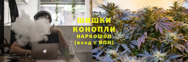 Альфа ПВП Лагань