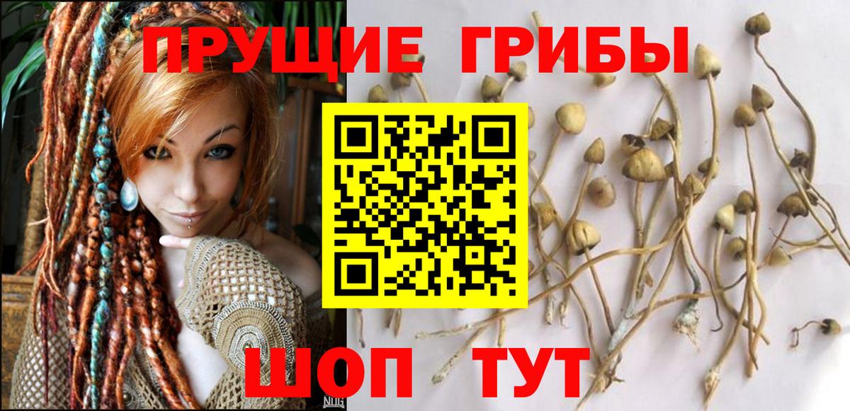 Codein Новокубанск
