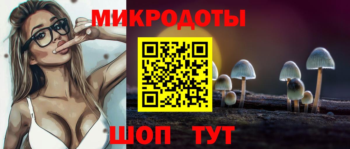 Новокубанск  купить  сайты  Псилоцибиновые грибы Magic Shrooms  Вход с VPN  Псилоцибиновые грибы Magic Shrooms 
