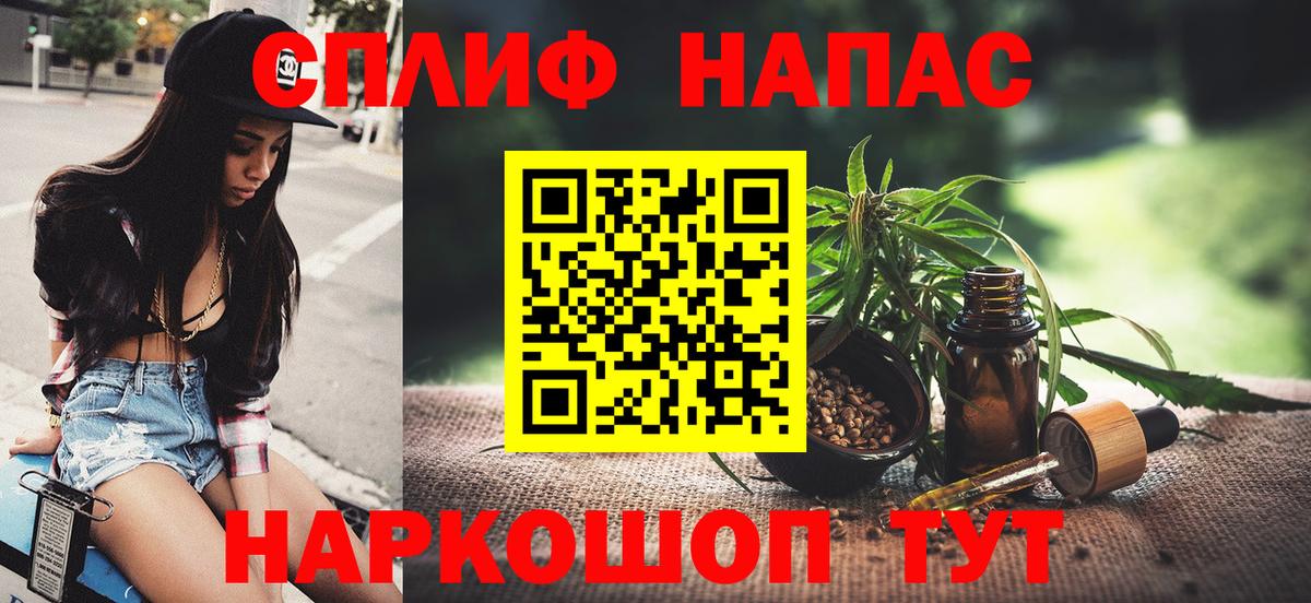 Конопля гибрид Новокубанск